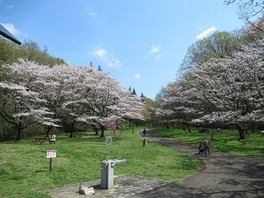 都立桜ヶ丘公園の写真1