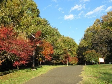 都立桜ヶ丘公園の写真