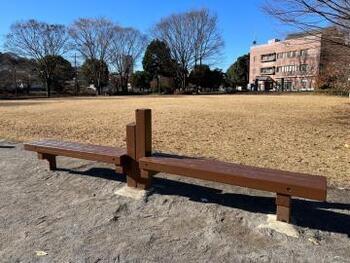 写真:健康遊具(背中と腰をのばすうんどう)