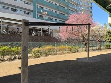 写真：健康遊具（とびあがり）