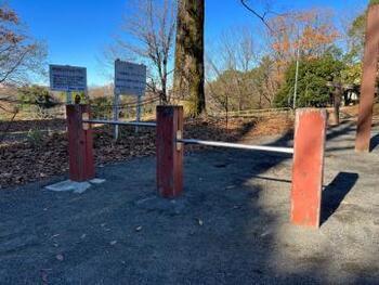 写真:健康遊具(腕立て伏せ運動)