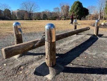 写真:健康遊具(ブリッチバランサー)