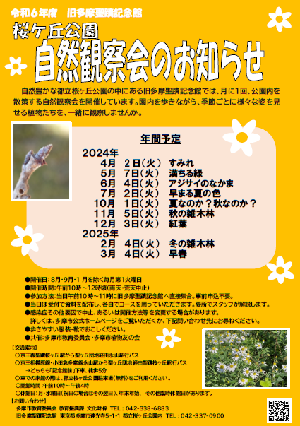 令和6年度旧多摩聖蹟記念館の桜ヶ丘公園植物観察会