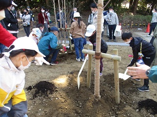 植樹の様子