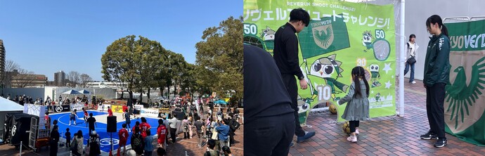 スプリングフェスタ