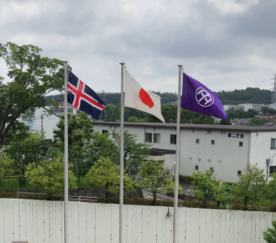 アイスランド国旗・日本国旗・多摩市旗掲揚