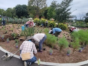 グリーンライブガーデンの花壇の写真