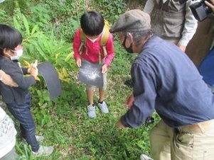 自然観察をする子ども達と講師の写真