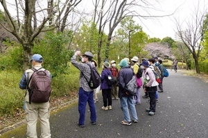 公園緑地で樹木の観察をする講師と受講生の写真