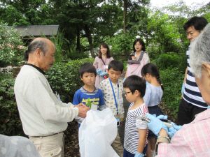 グリーンライブセンターに生えている植物を観察している講師と子ども達