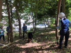 コドラート法による植生調査をしている写真