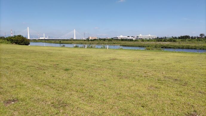 河川敷広場の写真