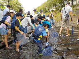 乞田川の恵み　写真