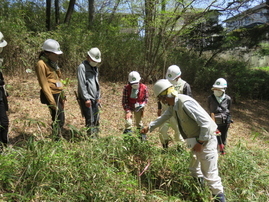 なな山緑地の会