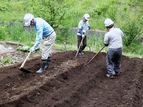 なな山緑地の会