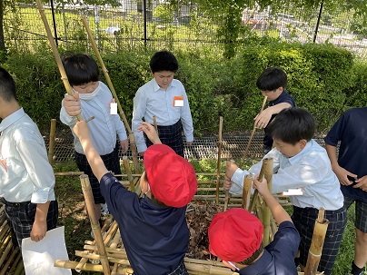 帝京大学小学校