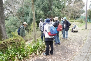 春の公園を散策し、植物観察をする講座参加者の写真