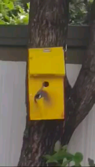 （2）