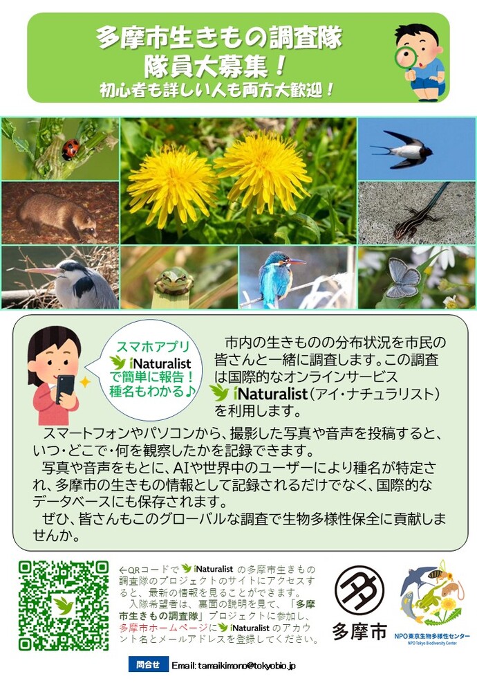 チラシ