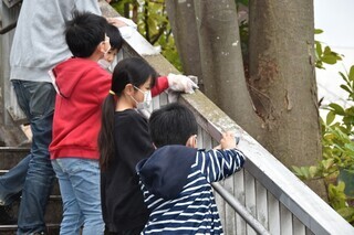 写真：当日の様子4