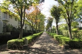 遊歩道 そよかぜのみちの写真