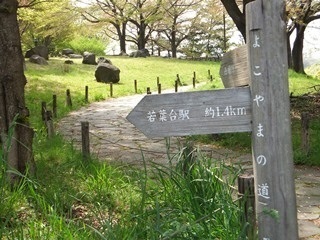 多摩よこやまの道 丘の上広場の写真