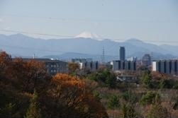 写真:連光寺ひぐらし坂から見る富士山 平成21年12月7日撮影