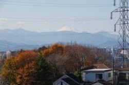 写真:連光寺天王森から見る富士山 平成21年12月7日撮影