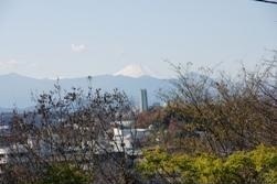 写真:連光寺ゆうひの丘から見る富士山 平成21年12月7日撮影