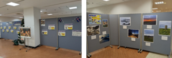 展示