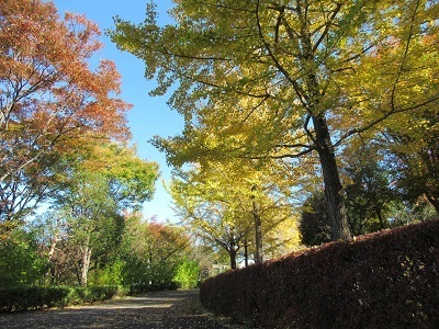 鶴牧西公園の写真