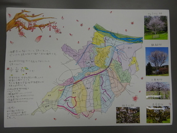 多摩の桜