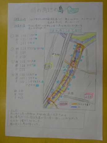川の周辺の鳥