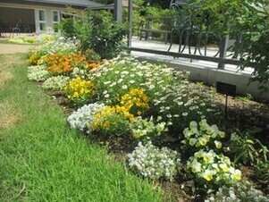 グリーンライブセンターの花壇の写真