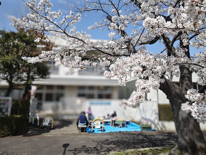 お花見会場