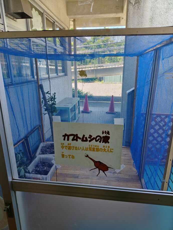 シン・カブトムシの家