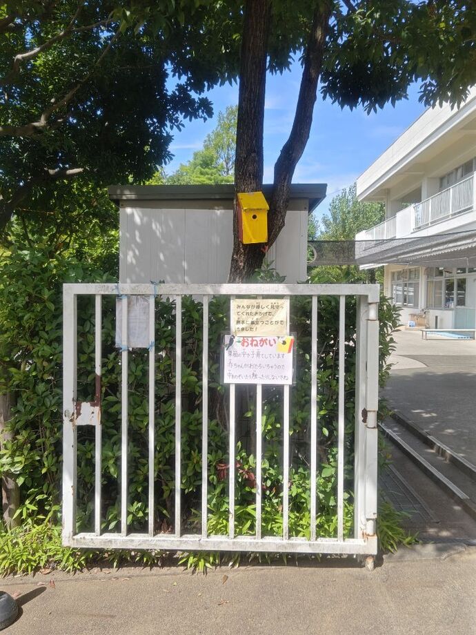 巣箱の外観の様子