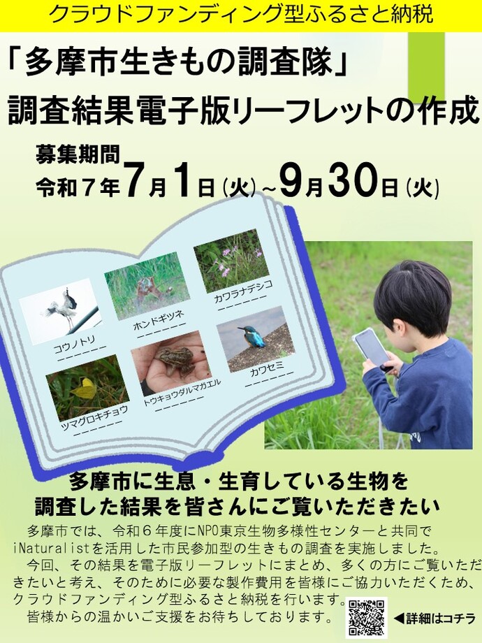 チラシ