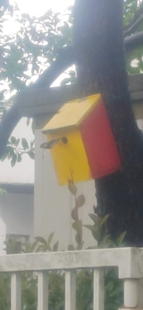 親鳥の姿