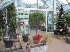 クリスマスの飾りつけをしたグリーンライブセンターの温室入口の写真