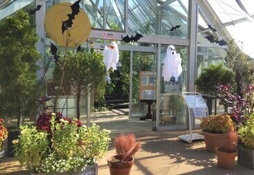 ハロウィンの飾りつけをした温室入口
