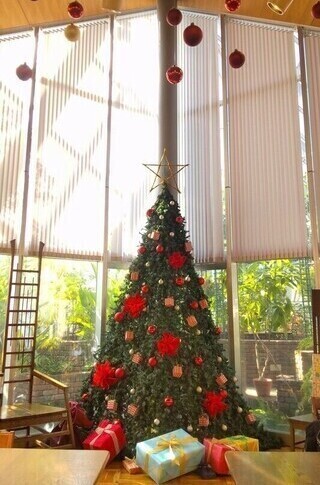 グリーンライブセンターのクリスマス装飾の写真