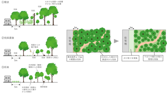 緑地樹木配置図