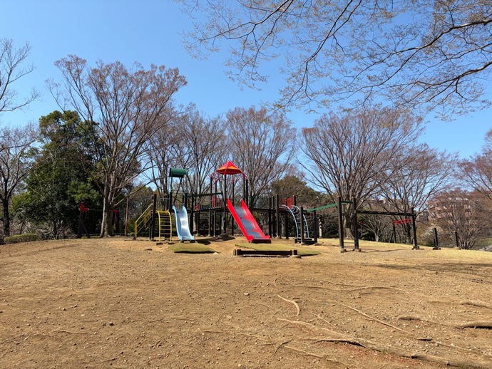 アスレチックの写真