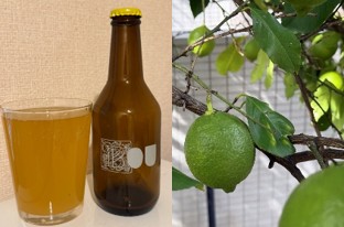 市内の農家が生産したレモンを使ったクラフトビール