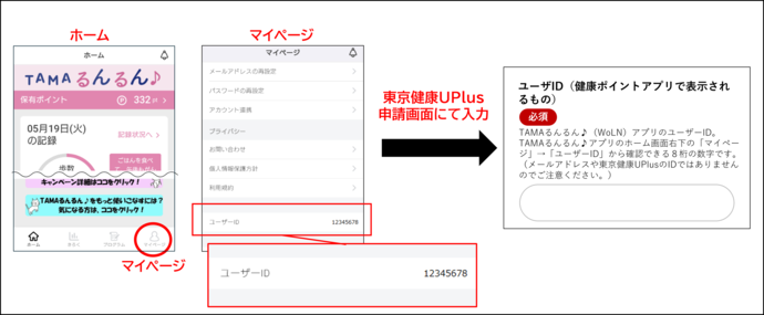 ユーザーID