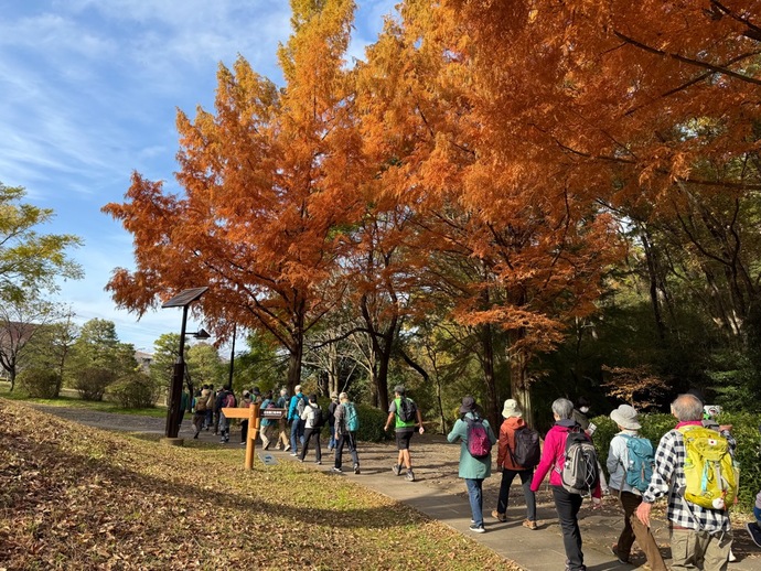 紅葉ウォーキング