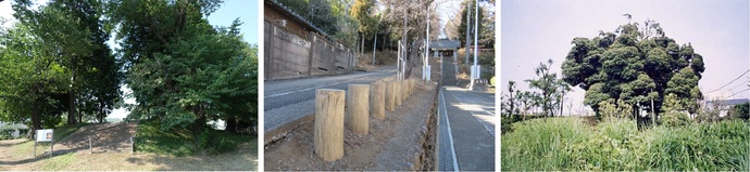 都指定文化財画像