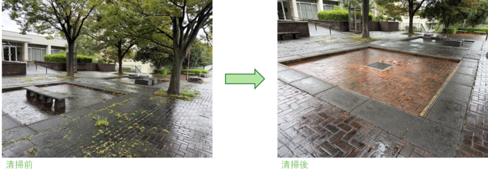 清掃前後の比較画像